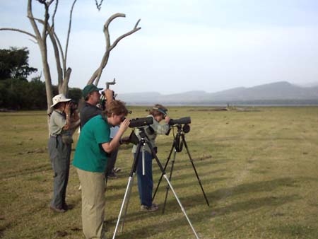 Birding 1