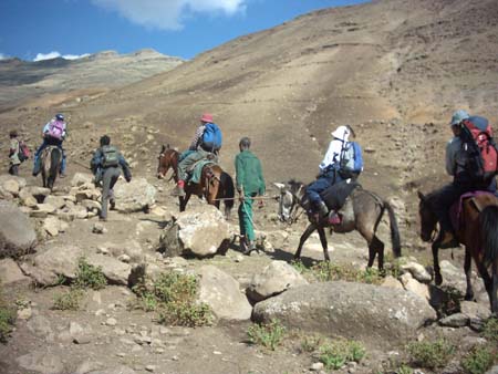 Horse riding 2