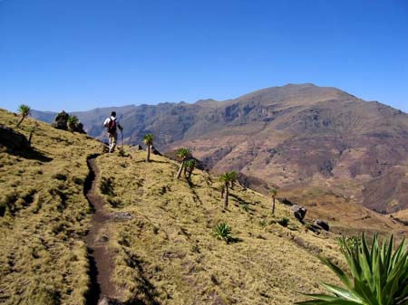 Lone Trekking