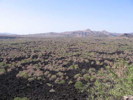 Ethiopian Rift Valley