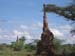 Termite Hill, in the Rift Valley